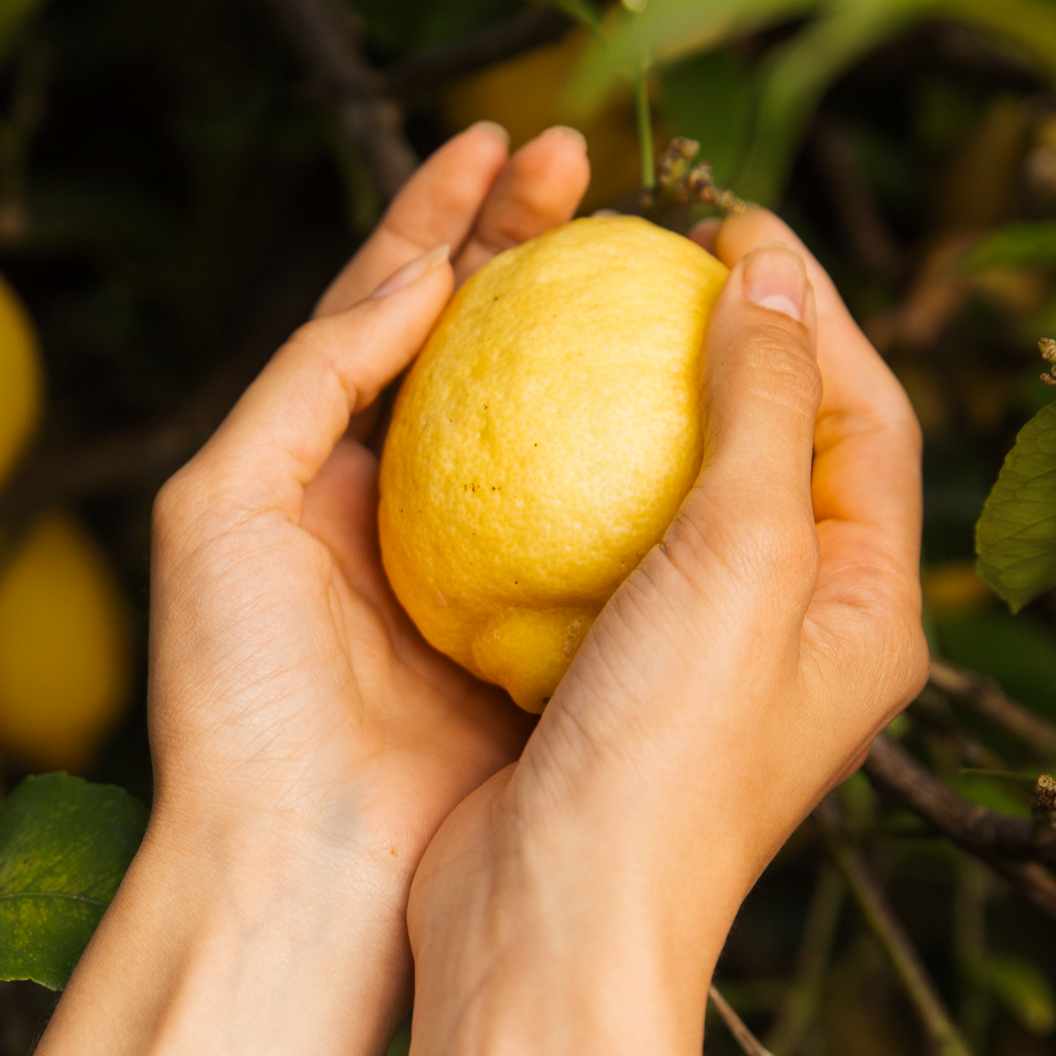 Lemon Lime